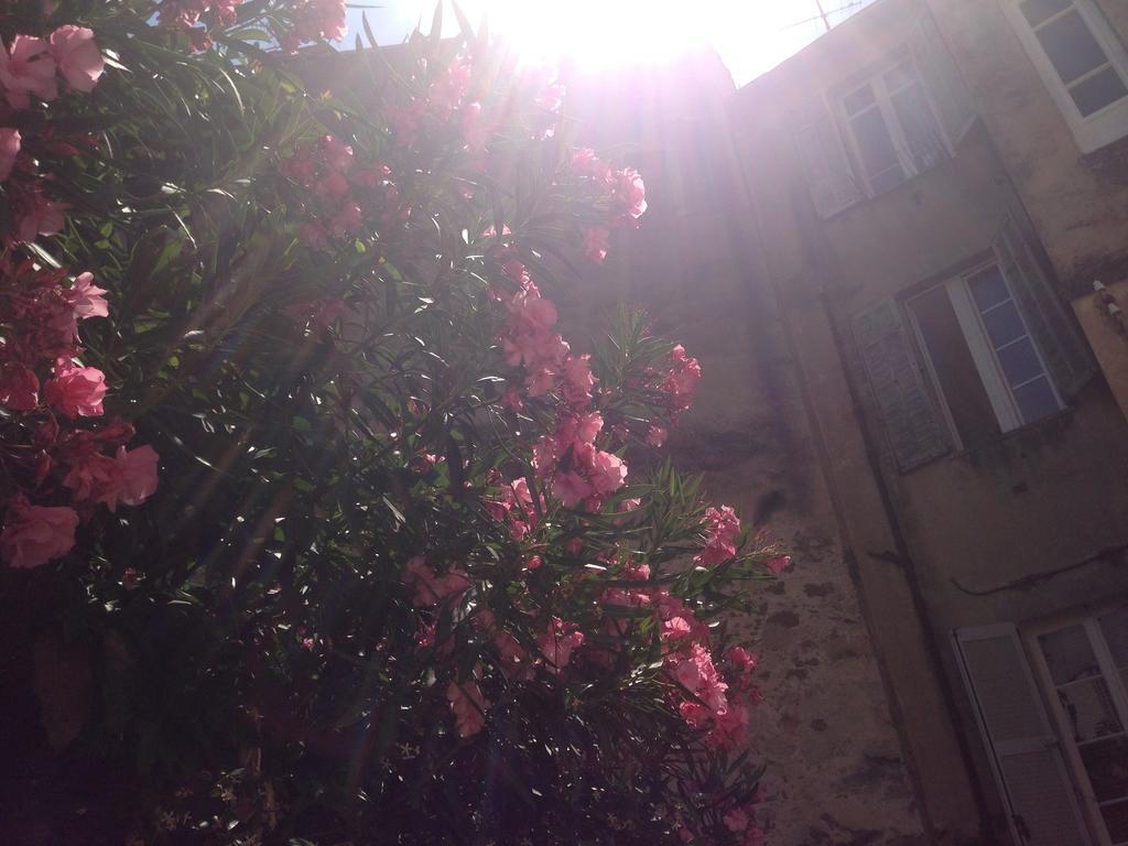 Chanteclair Cannes Exterior foto